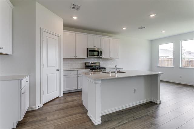 Building Photo - 3313 Swift Fox Wy