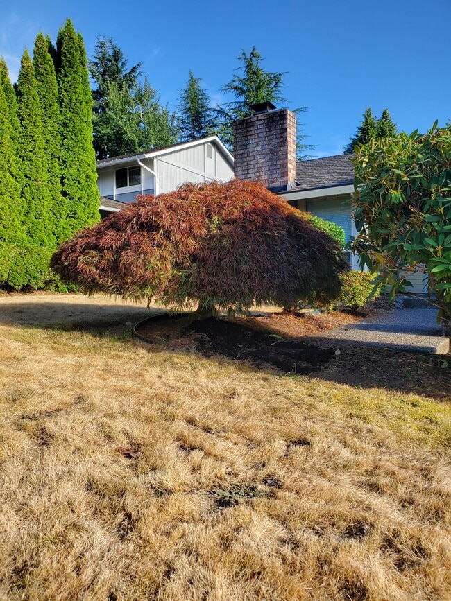 Building Photo - 15739 SE 175th Pl