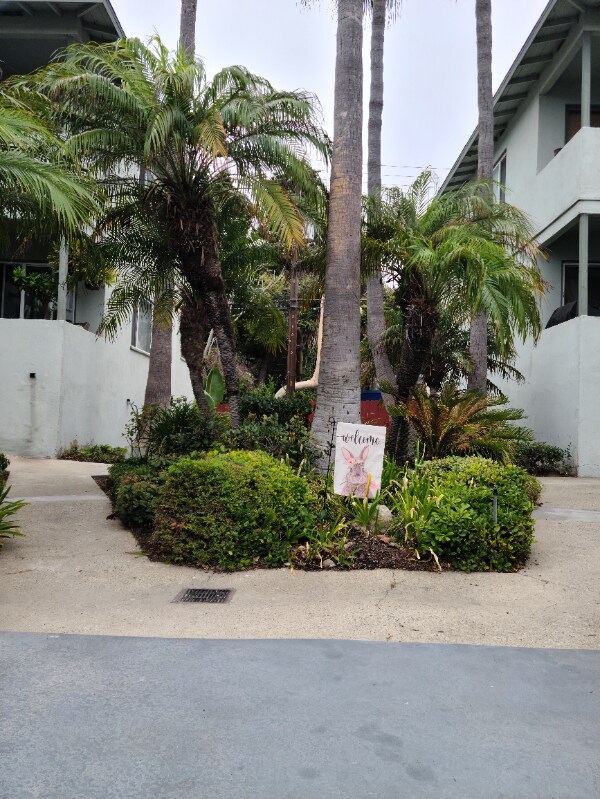 Building Photo - 134 Paseo De La Concha