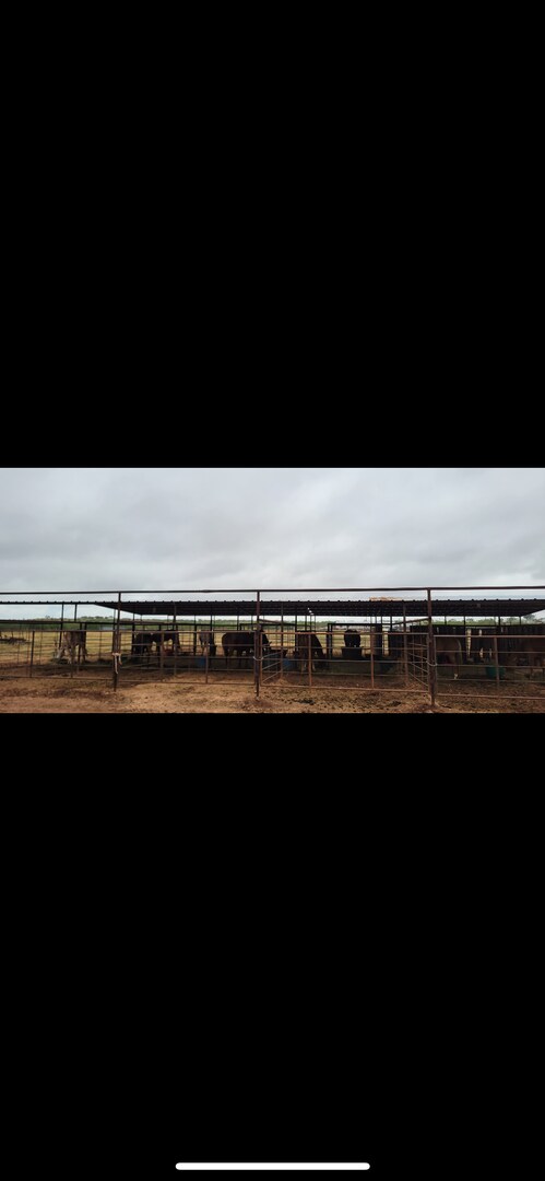 Building Photo - 2 bed 2 bath / horse facility.