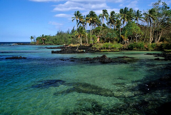 Building Photo - Lease Pending - Mauna Loa Shores Condo