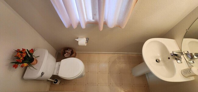 Building Photo - 1687 E Balsam Mist Ave