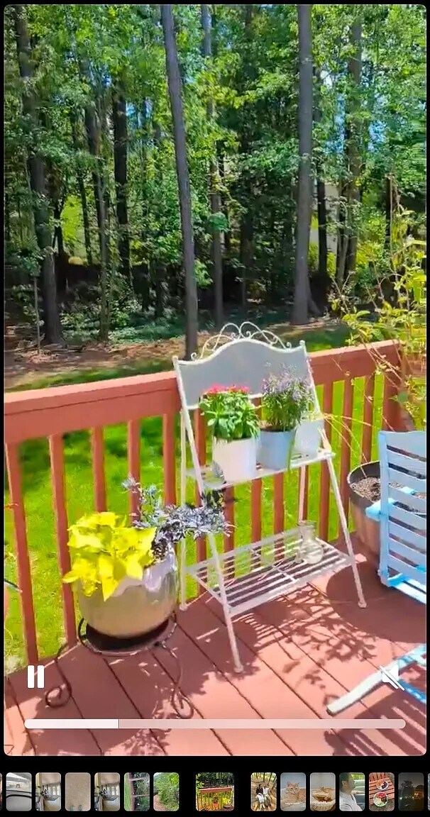 Building Photo - 113 Bottlebrush Ct