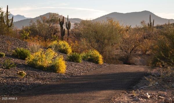Building Photo - 2121 W Sonoran Desert Dr