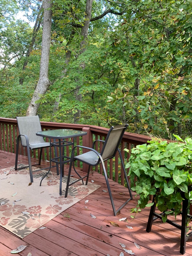 Building Photo - 109 Hollyridge Ln