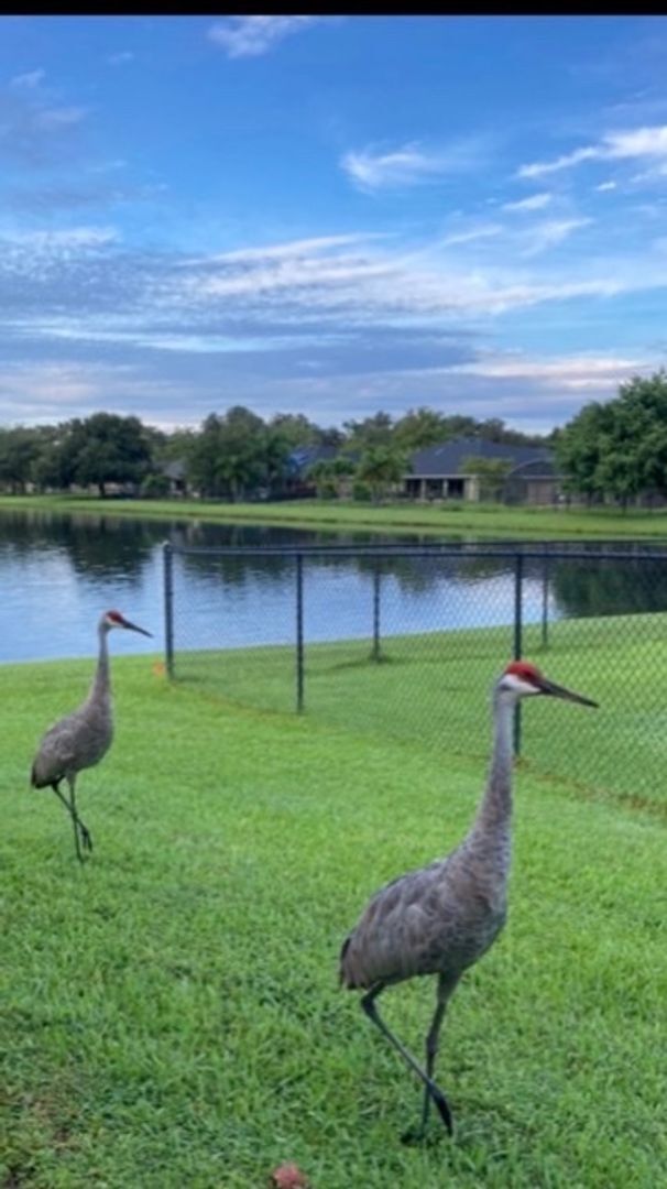 Building Photo - St. Cloud 4 Bedroom, 4 Bathroom Pool Home with Lake View