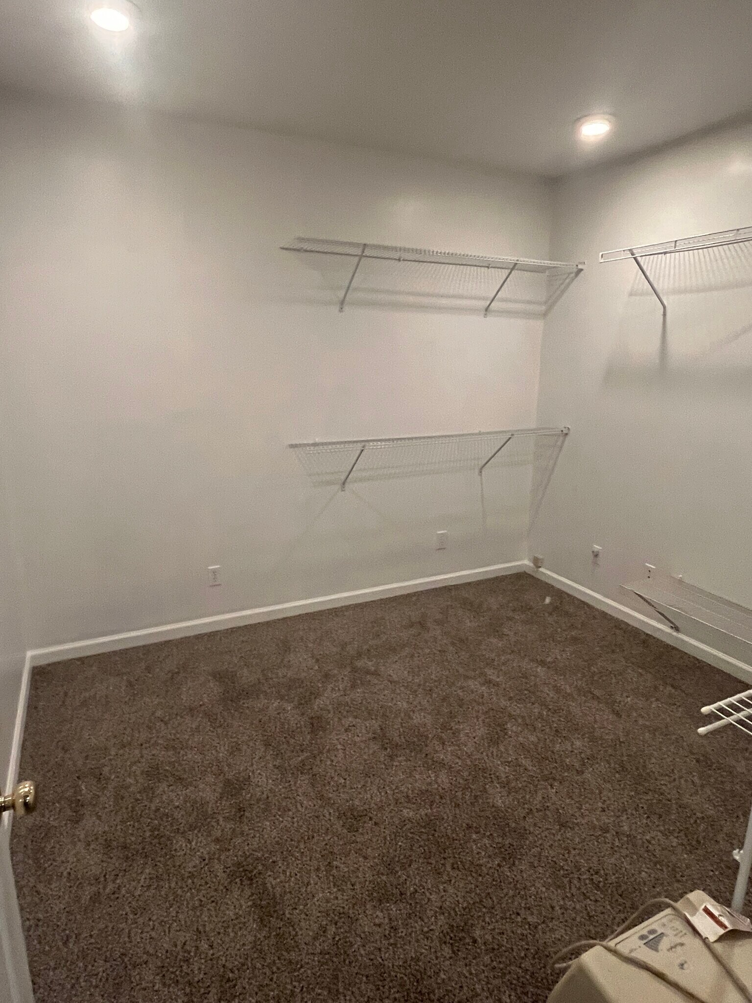 Building Photo - 238 Manchester Dr