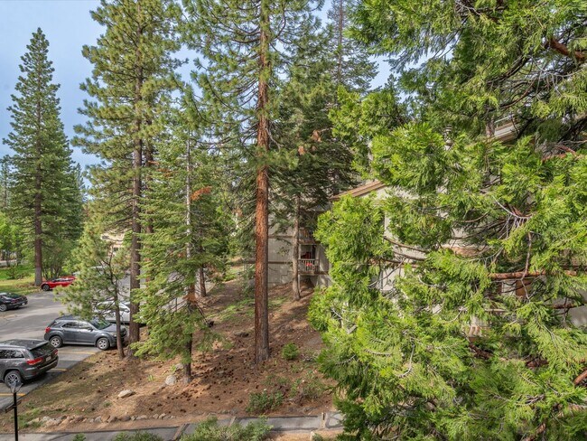 Building Photo - SKI LEASE: Townhome w/Fireplace, 2 Decks &...