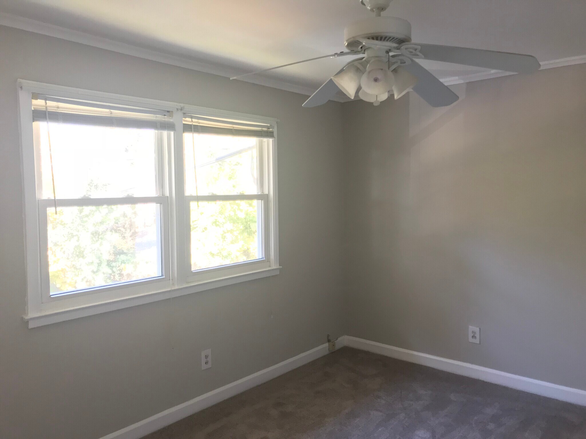 Building Photo - 701 Daniels St