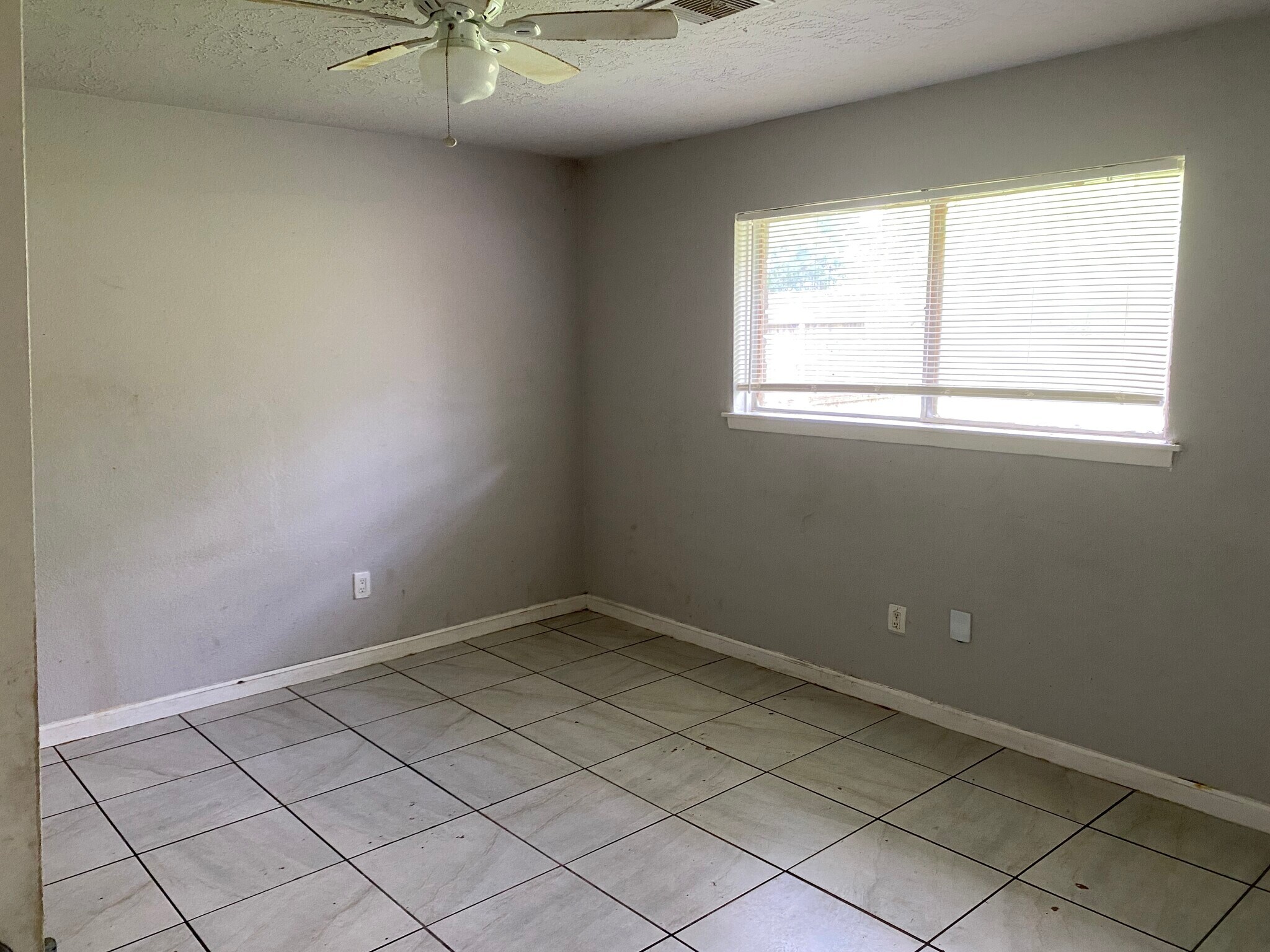 Building Photo - 8019 Beech Cove Ln