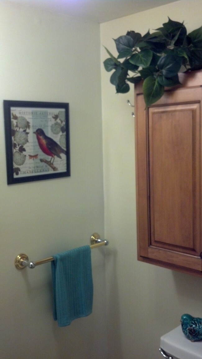 LL Bath Room - 3919 N Donna Ln