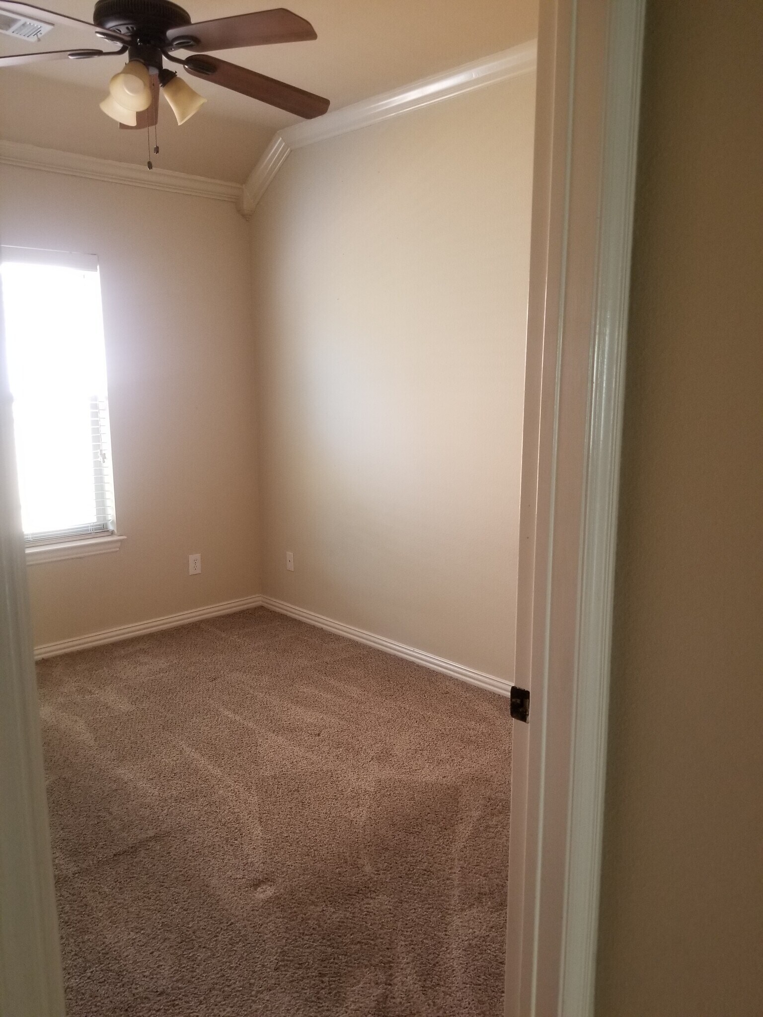 Building Photo - 552 Palomino Way