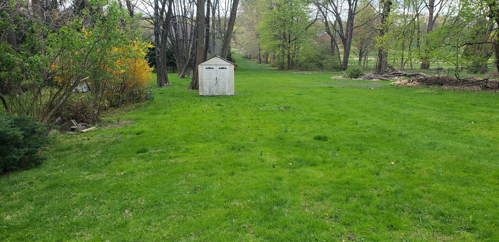 Generously sized backyard adjacent to Springbrook golf course - 140 Mount Kemble Ave