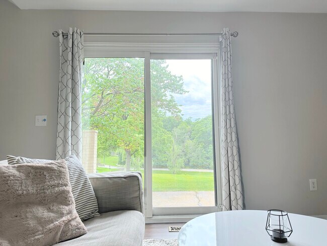 Living room - 3045 Moon Lake Dr