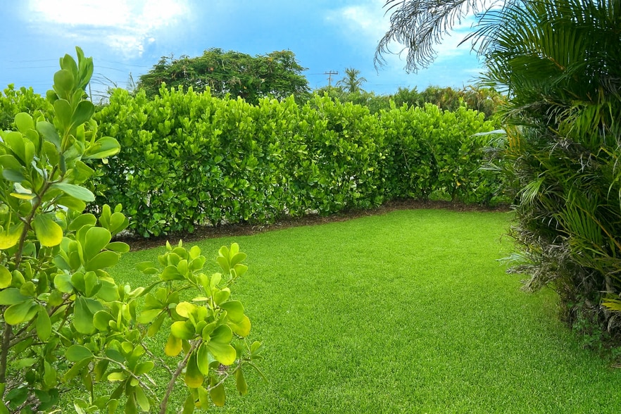 Front Yard - Background - 4460 SW 49th Ct