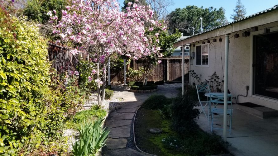 Building Photo - 2221 Homewood Dr