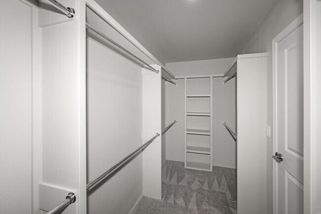 Building Photo - 4713 Scotty Dr