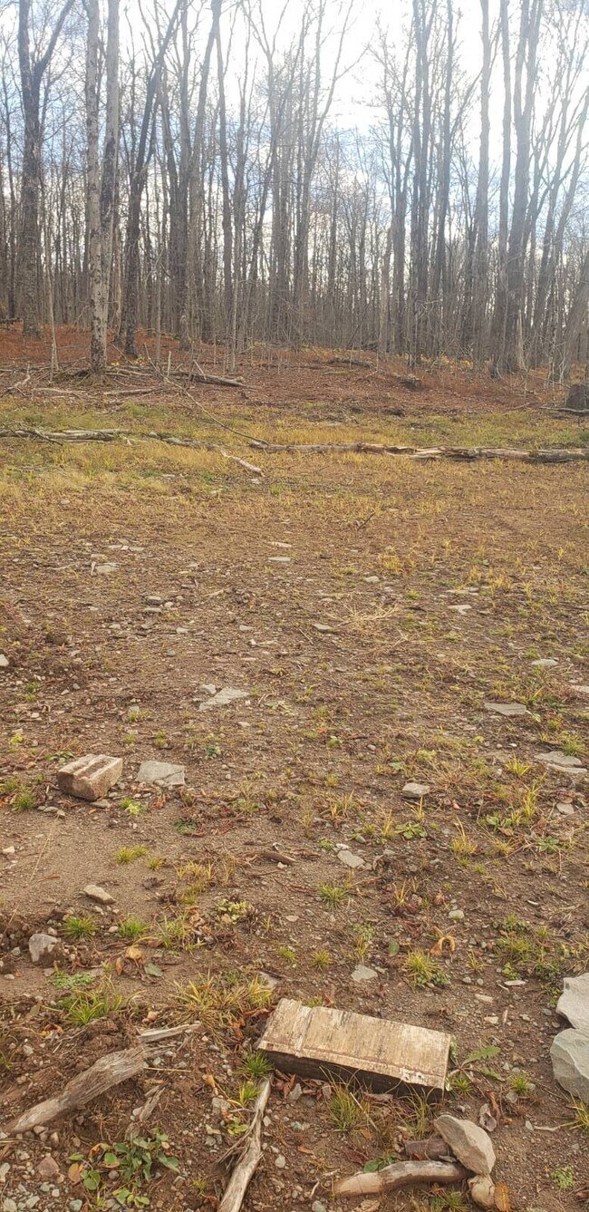 Building Photo - 1444 Briscoe Rd