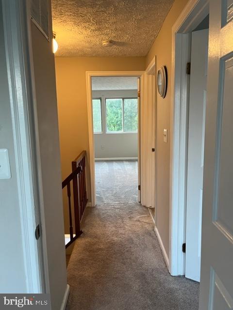 Building Photo - 3617 Laurel View Ct