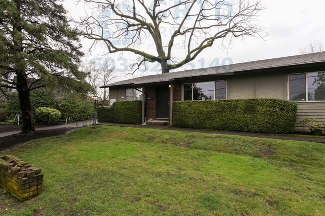 Building Photo - Newly Remodeled 2 Bedroom Apartment in Mt. Tabor!