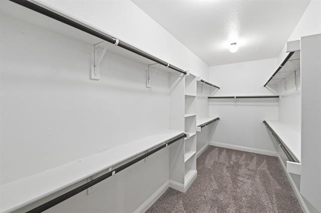 Building Photo - 1604 Bonanza Ln