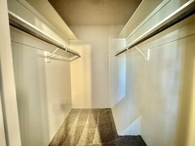 Building Photo - 6536 Calle La Paz