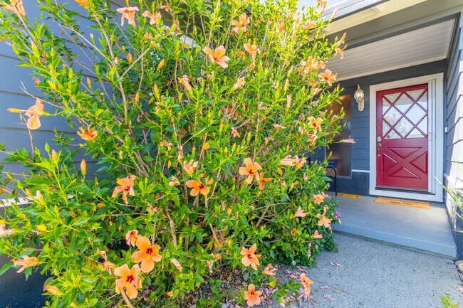 Building Photo - 10 - 22 Month FURNISHED Lease: Bring Indoor/Outdoor Living HOME with this 3bd+/2.5ba plus Pool & ...