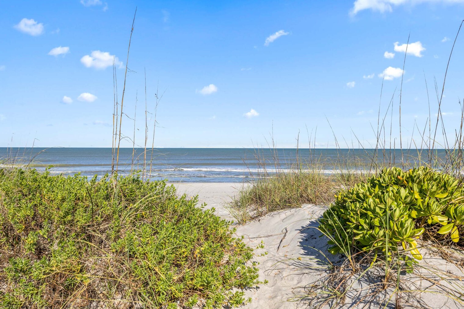 Building Photo - 3001 S Atlantic Ave