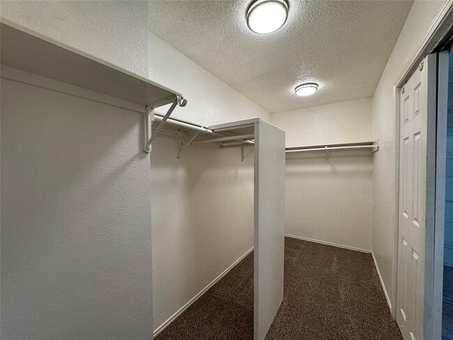 Building Photo - 1905 Hollow Tree Blvd