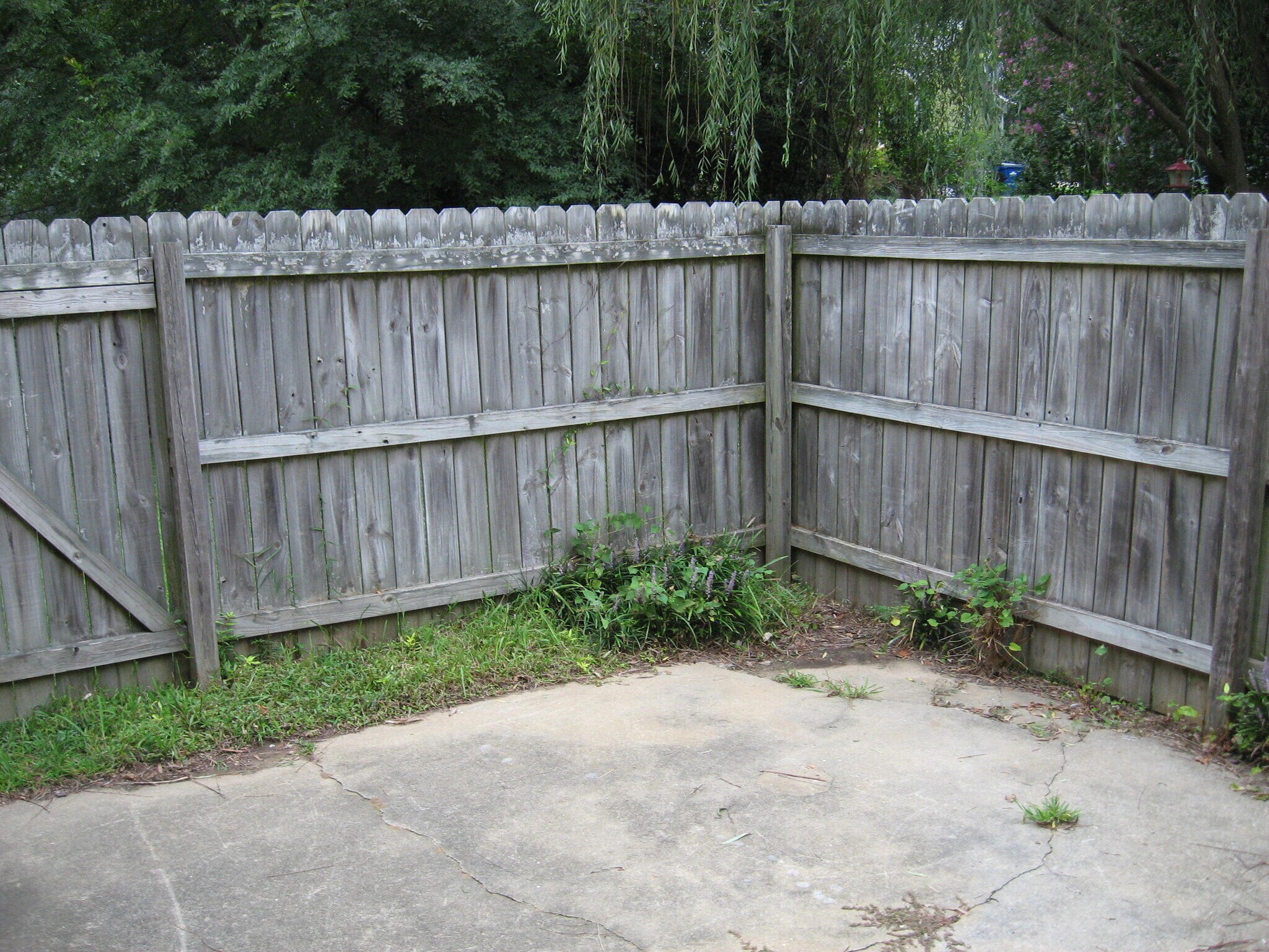 Building Photo - 3605 Pine Knoll Dr