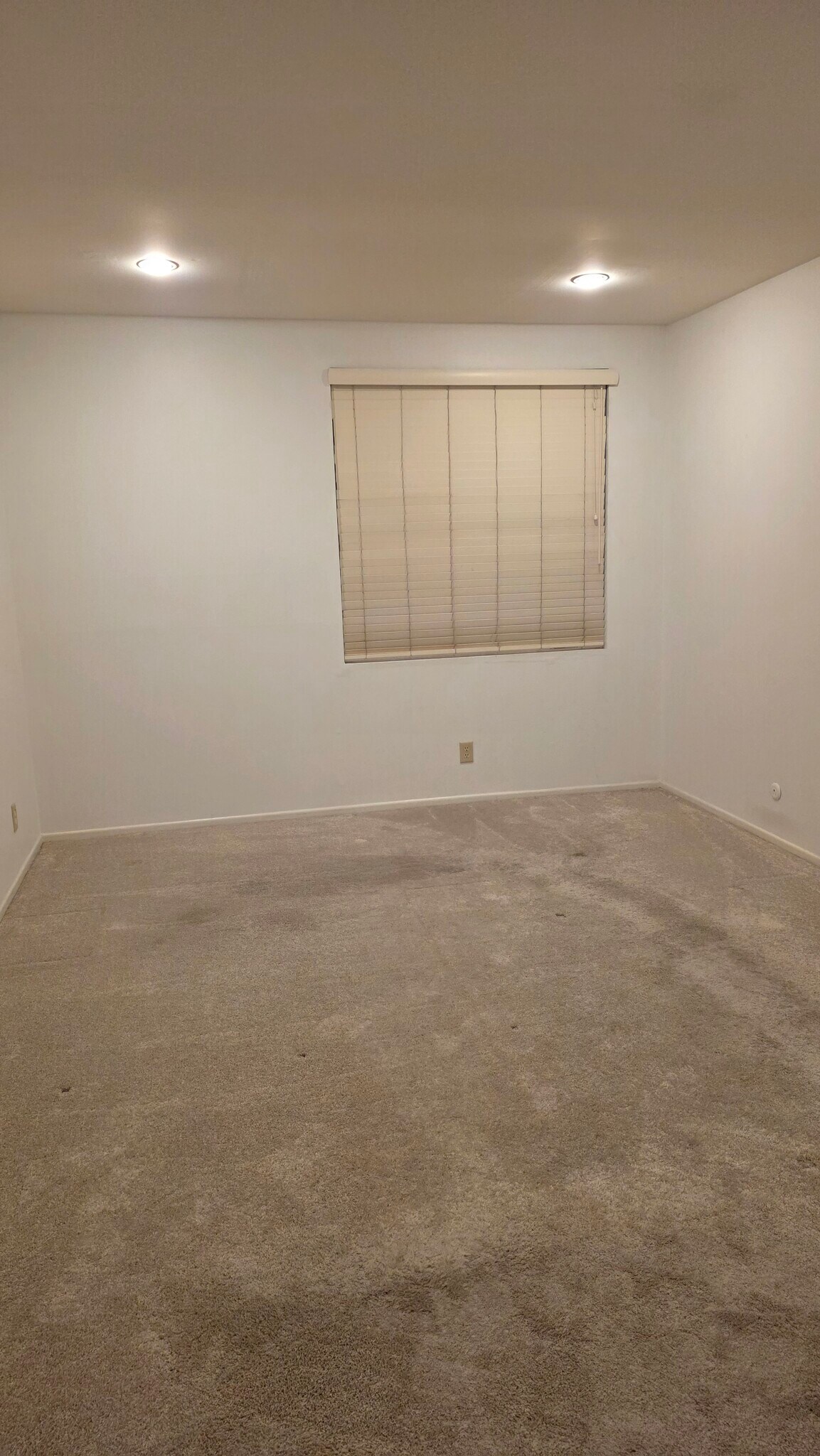 Guest bedroom - 12830 Burbank Blvd