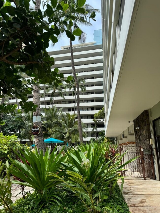 Building Photo - Fully-Furnished One Bedroom in Waikiki