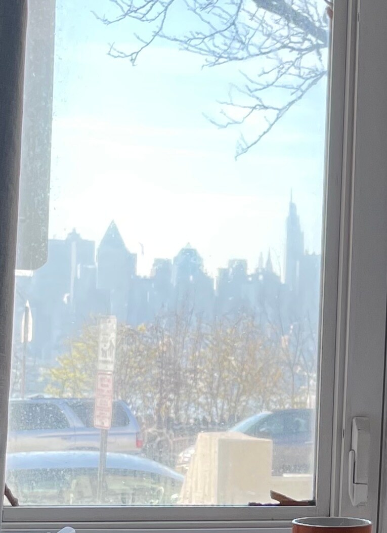 NYC VIEWS - 955 Boulevard E