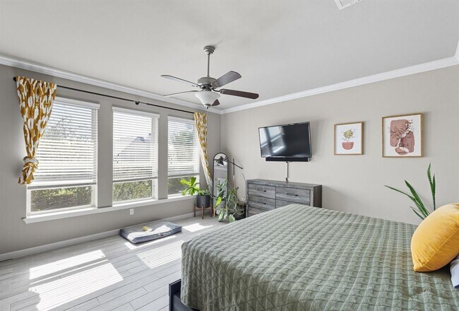 Building Photo - 513 Cerezo Dr