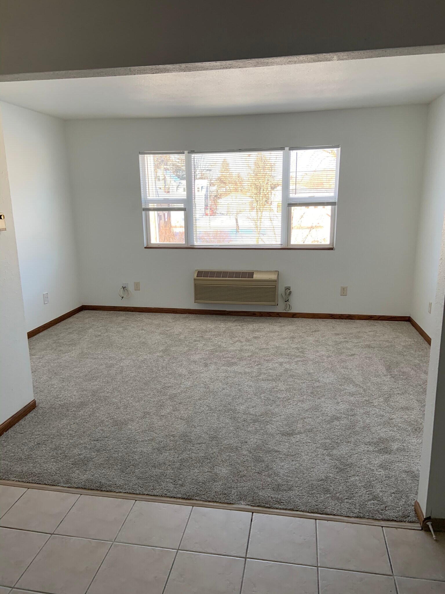 Living room, brand new carpeting and freshly painted walls. - 20427 W Clark Ave