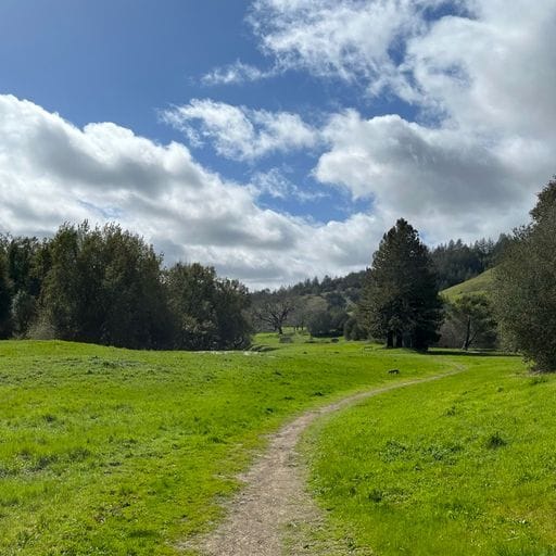 Building Photo - 25 Fir Ave