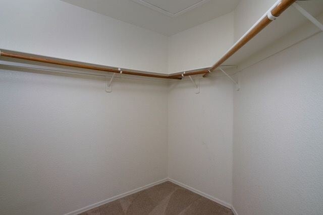 Building Photo - 3 Bedrooms 2 Baths 1440 Square Feet.