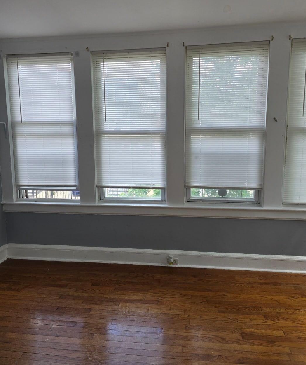 Sunroom - 85 Chelsea Ave