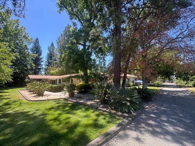 Building Photo - 3 dwelling property located in Rio Linda