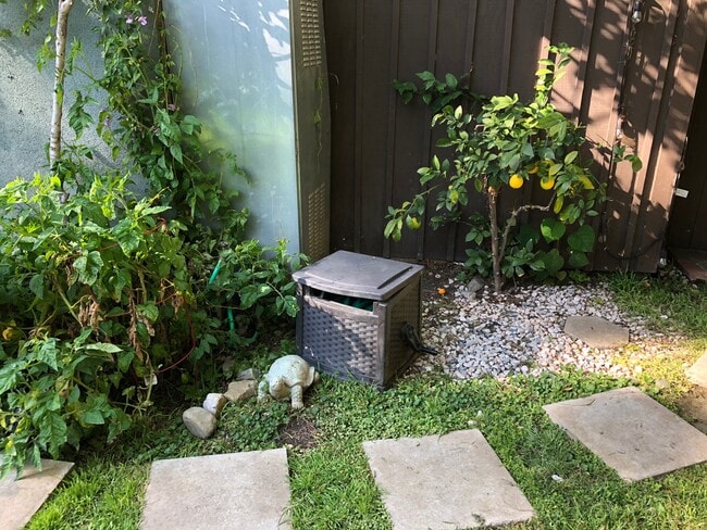 Teenage Lemon Tree - 2818 S Barrington Ave