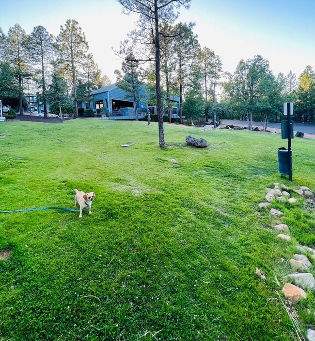 Building Photo - 2600 S White Mountain Rd