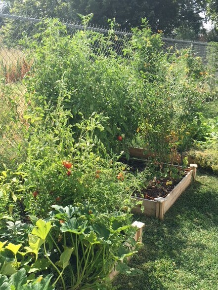 Plant Your Veggies in Community Gardens - 7626 W Opohonga Ln