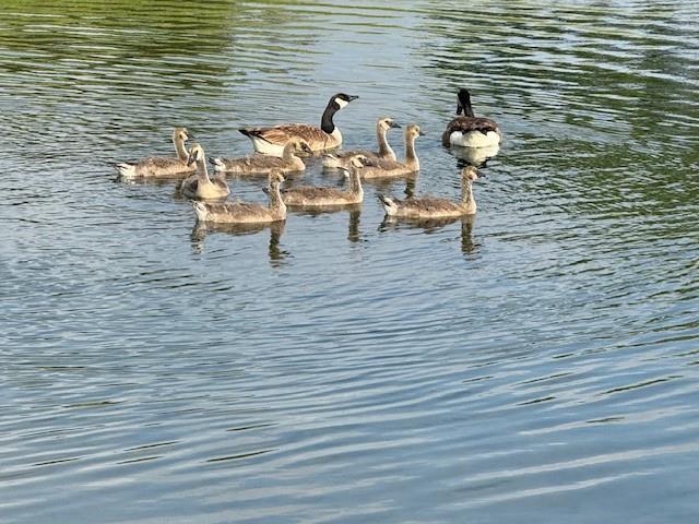 Building Photo - 14404 Home Trl