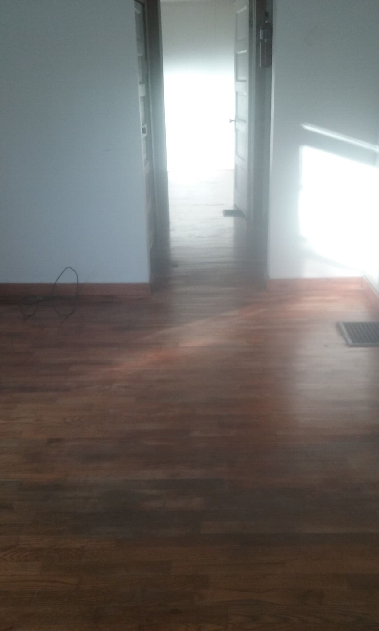 Original hardwood floors - 204 W Ells Ave