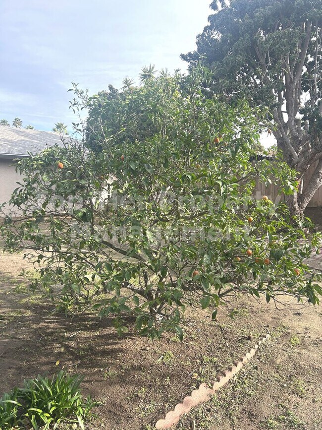 Building Photo - Beautiful 4 Bed/2 Bath House in Central Oceanside - Available NOW***