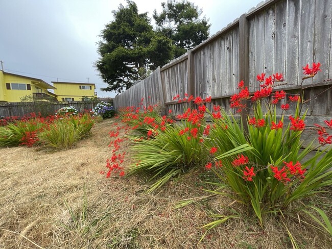 Building Photo - Spacious Pet Friendly Humboldt Hill Home