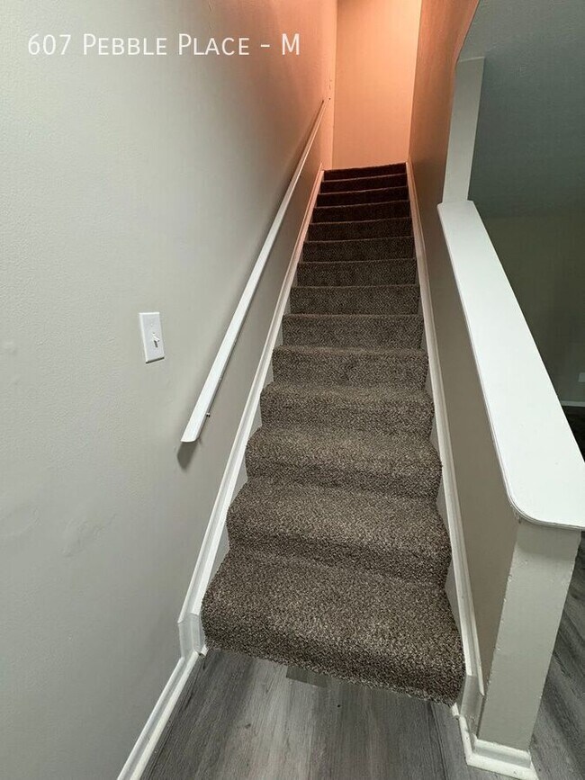 Building Photo - 607 Pebble Pl Dr