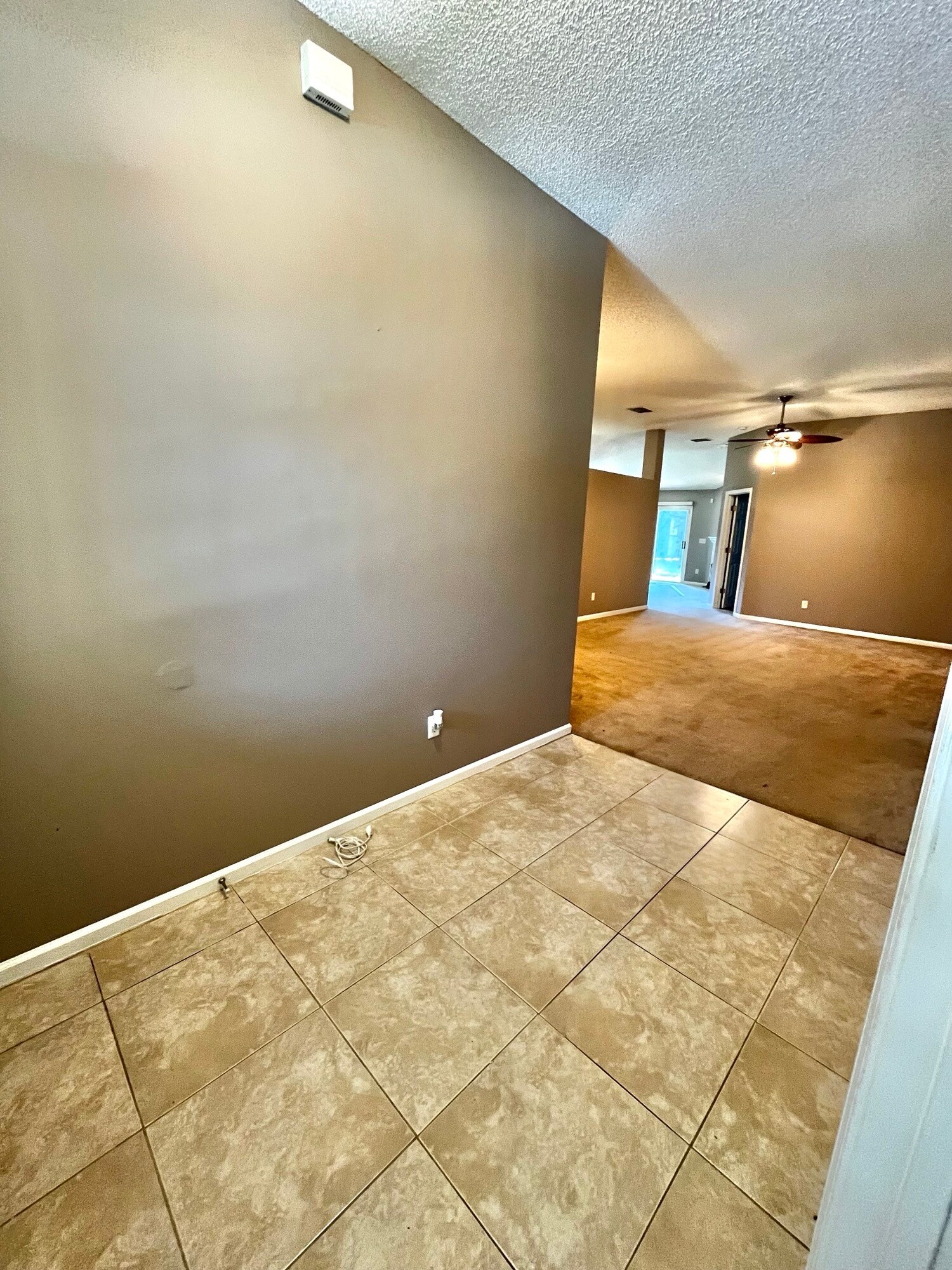 Hallway - 1410 Soaring Flight Way
