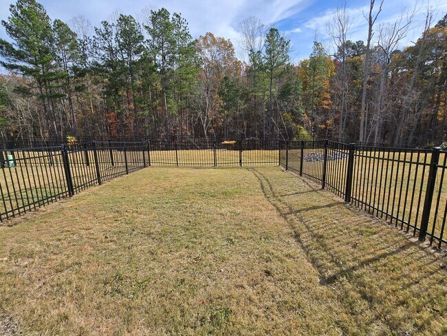 Building Photo - 1207 Falling Rock Pl