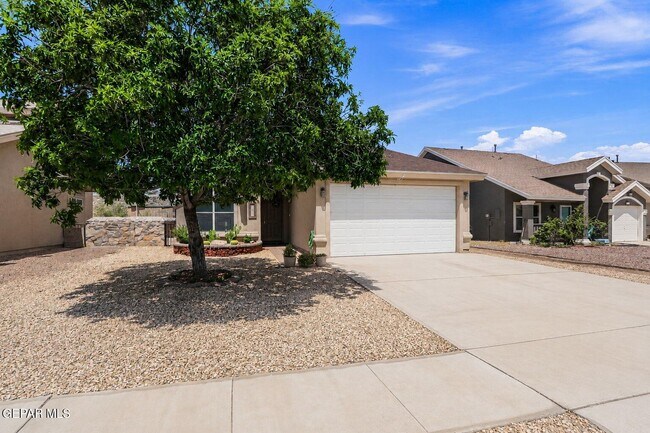 Building Photo - 4769 Joseph Rodriguez Dr